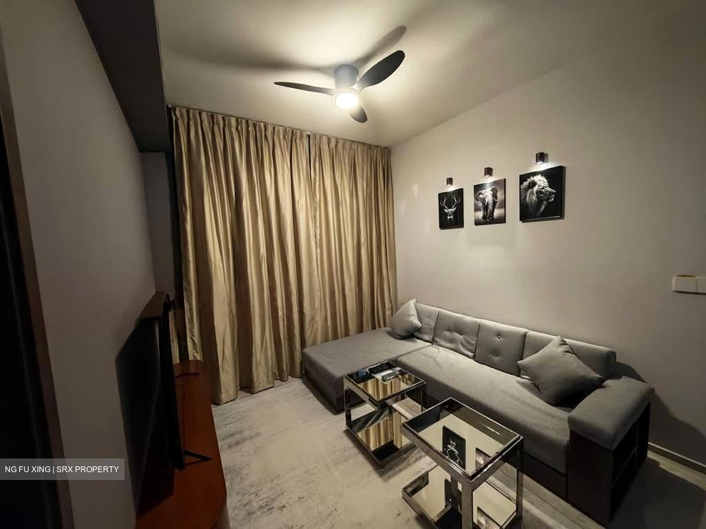 Tembusu Grand (D15), Condominium #573074061